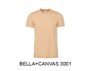 Bella Canvas 3001