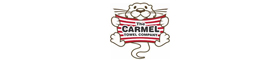 Carmel Towel Company