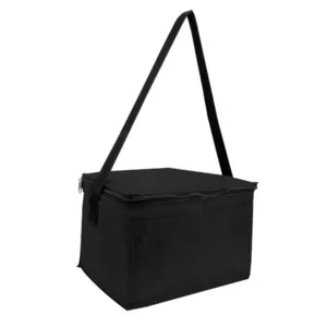 Liberty Bags 1691 Value 6-Pack Cooler