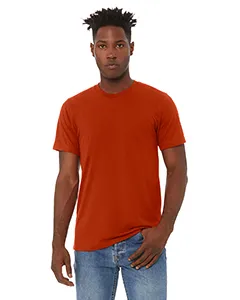 3413C Bella + Canvas Short Sleeve Triblend T-shirt