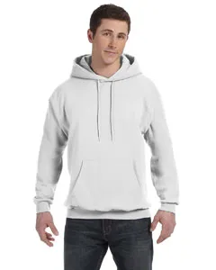 P170 Hanes - EcoSmart® Hooded Sweatshirt
