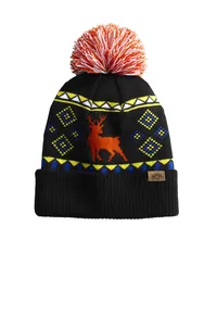 Spacecraft SPC12 LIMITED EDITION Wild Pom Beanie