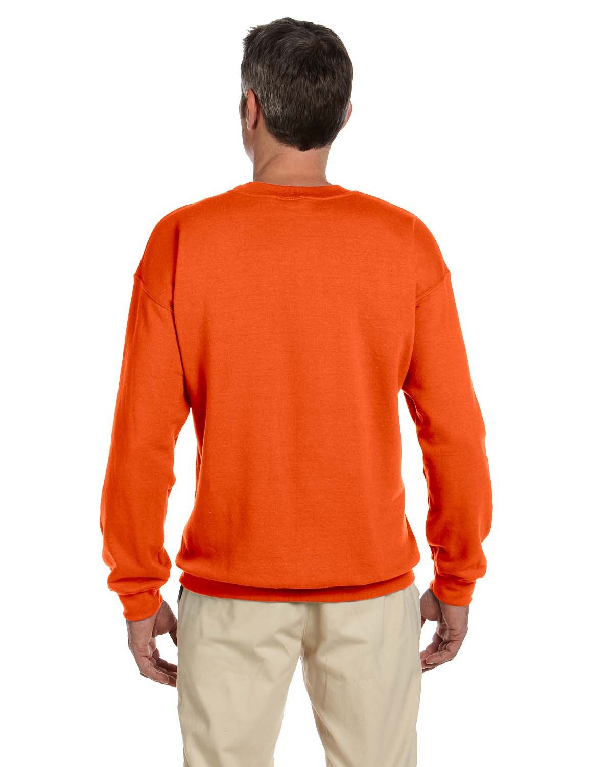 Back Image