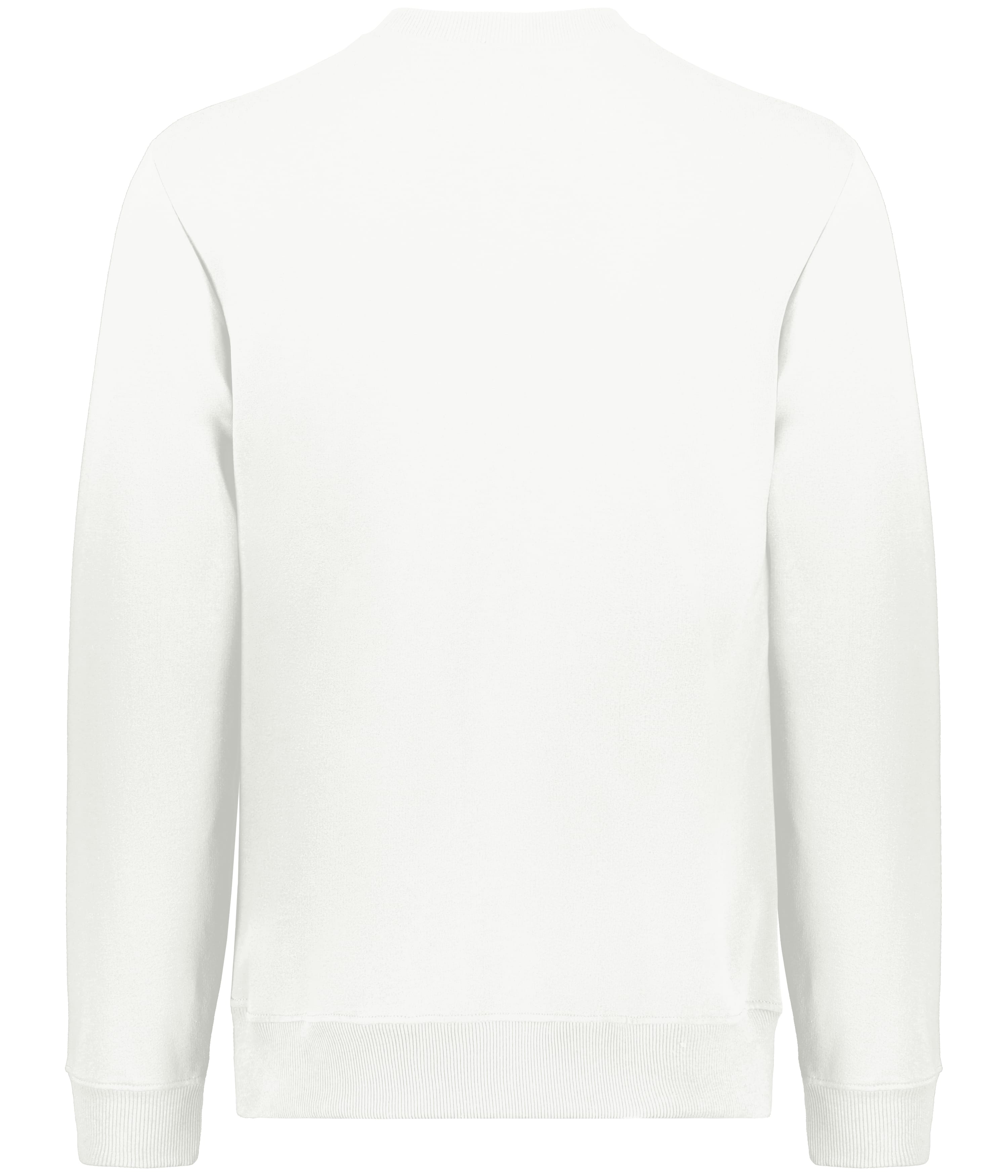 Back Image
