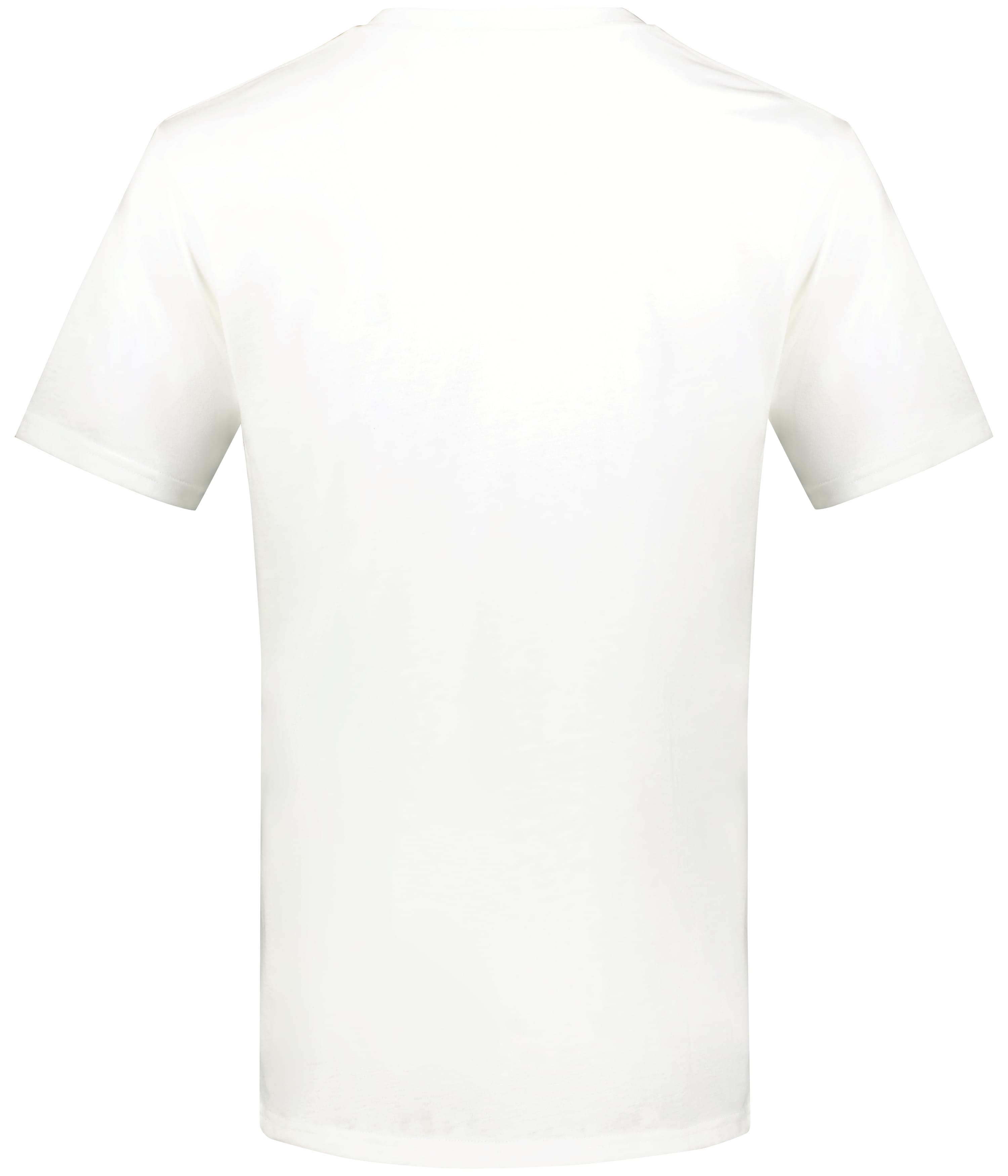 Back Image