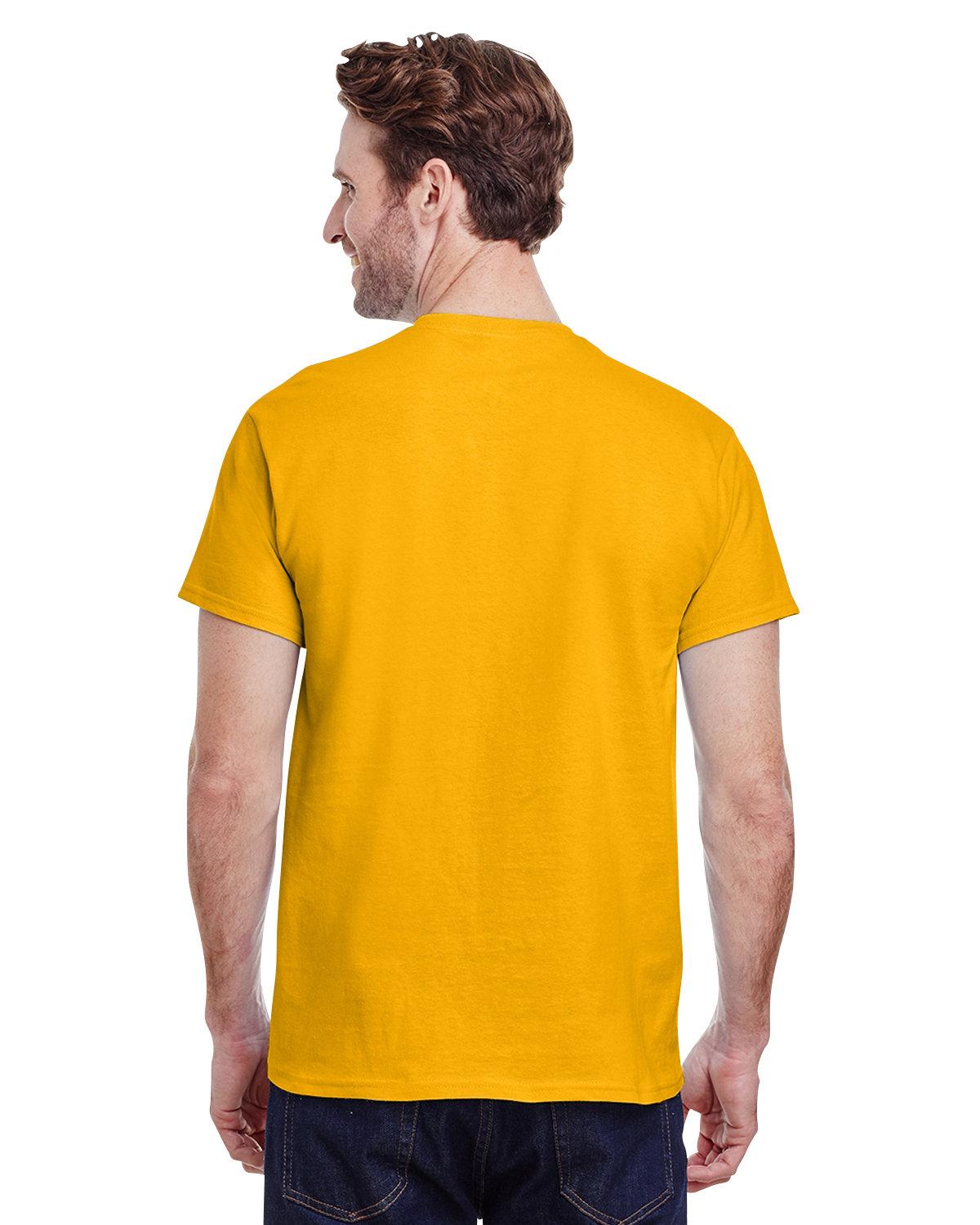 Back Image