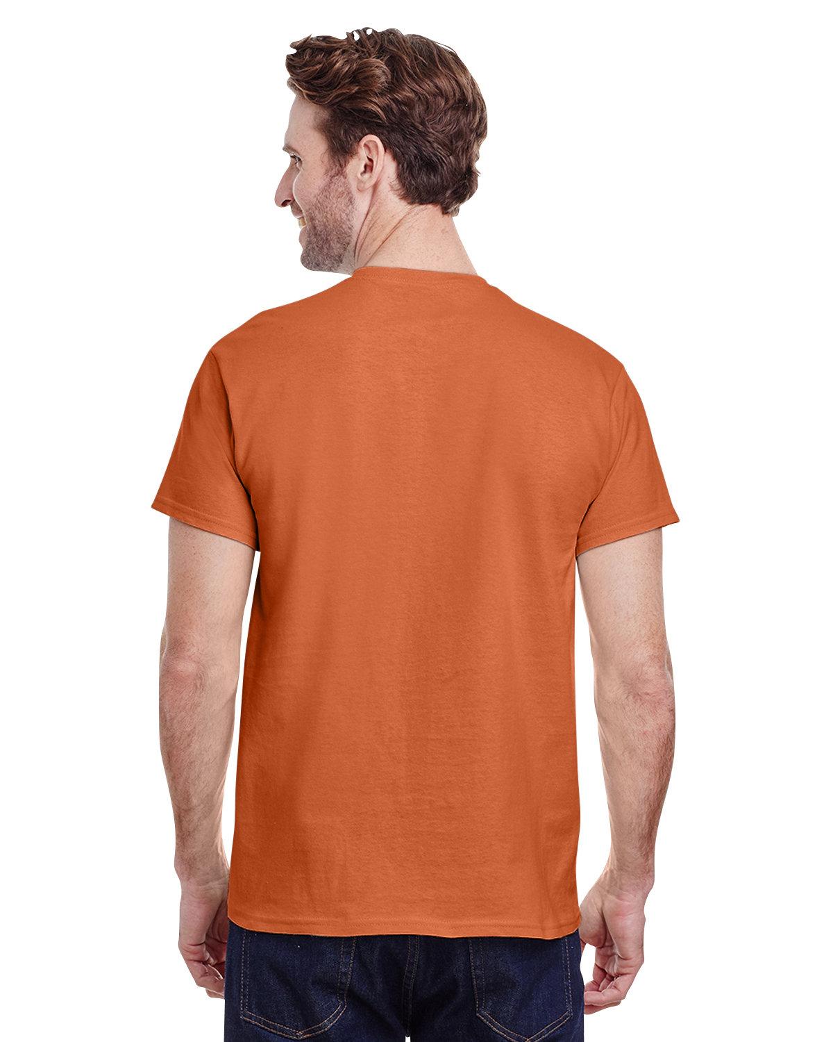 Back Image