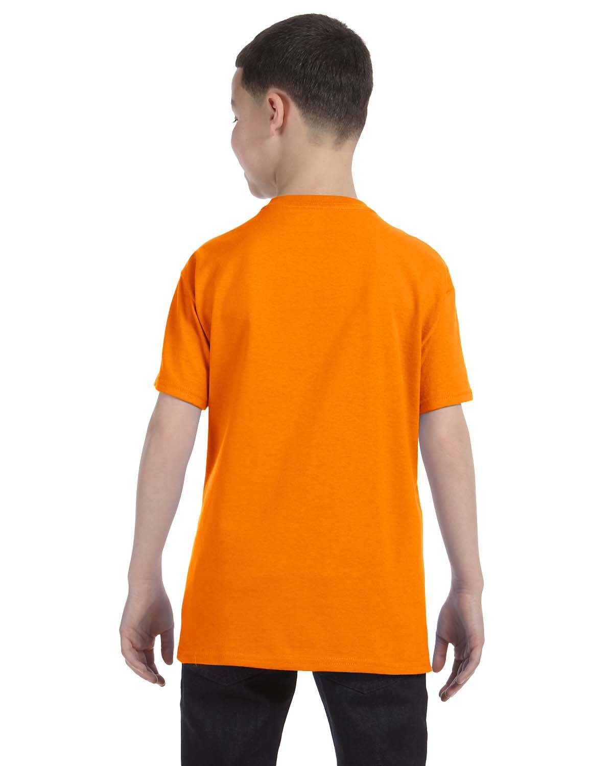 Back Image