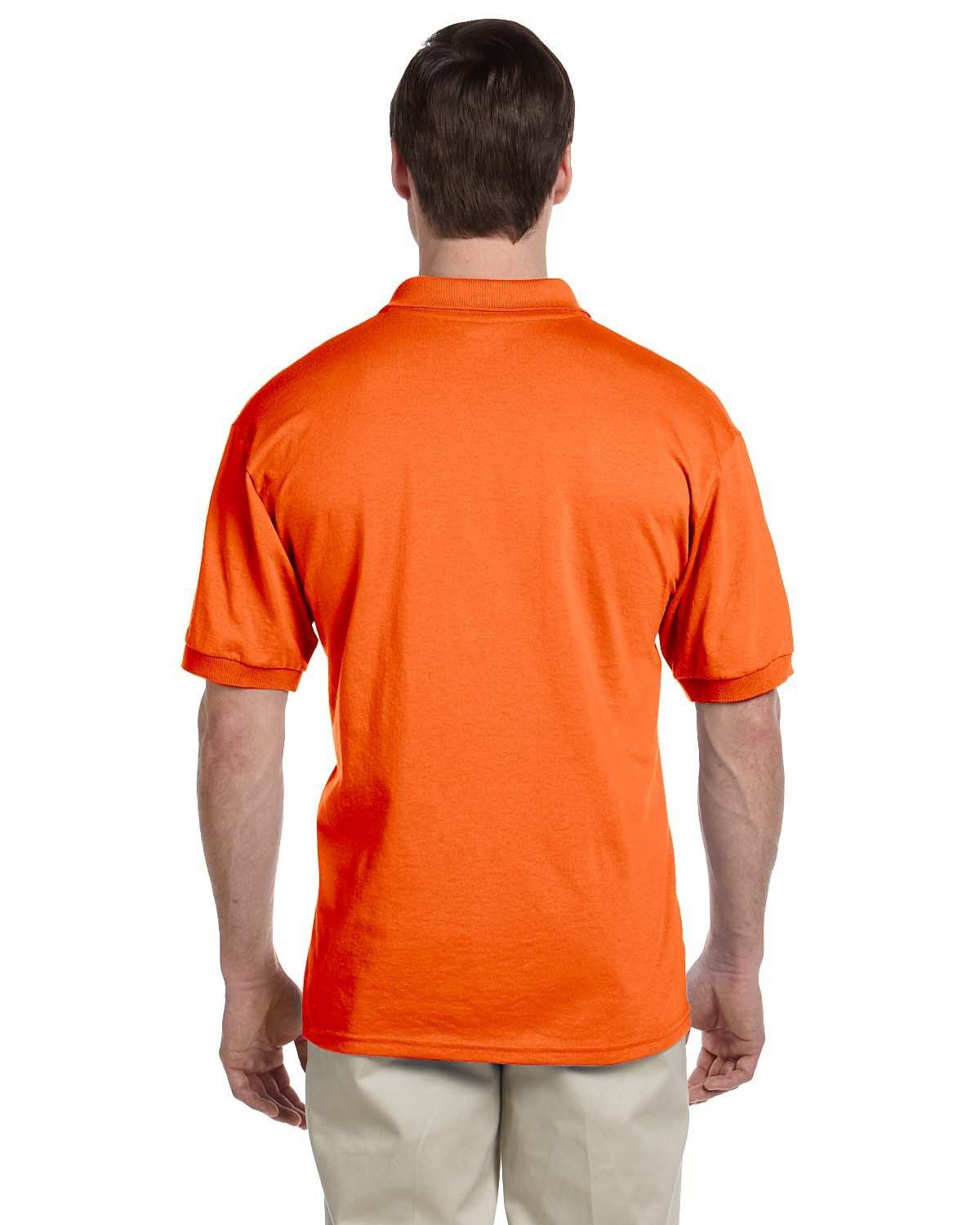 Back Image