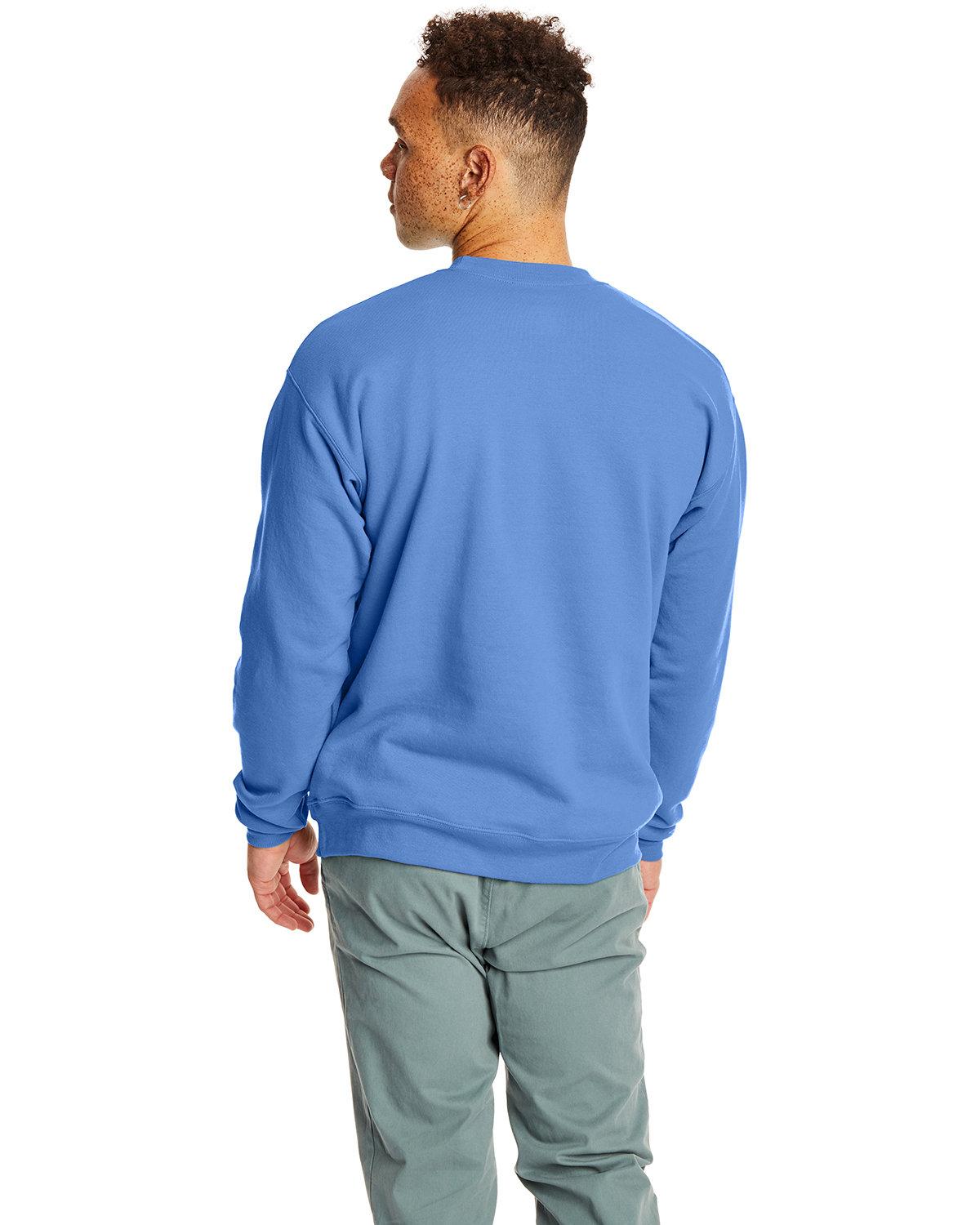 Back Image