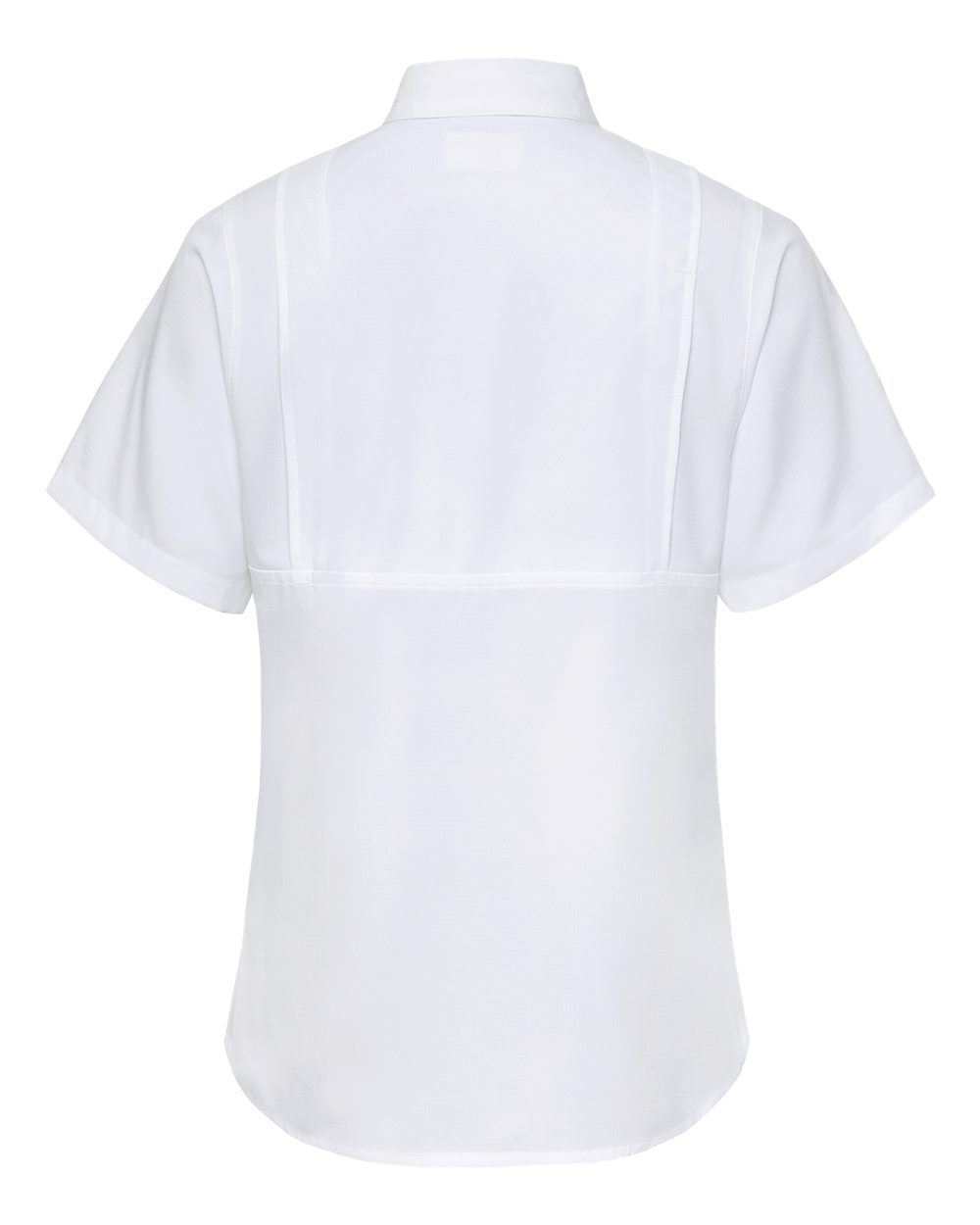 Back Image